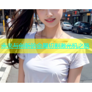 未来与创新的金属切割激光机之路