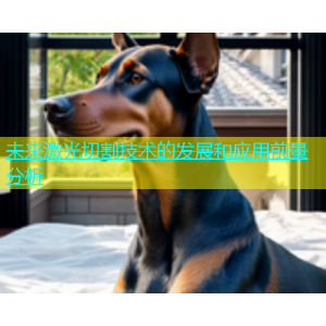 未来激光切割技术的发展和应用前景分析
