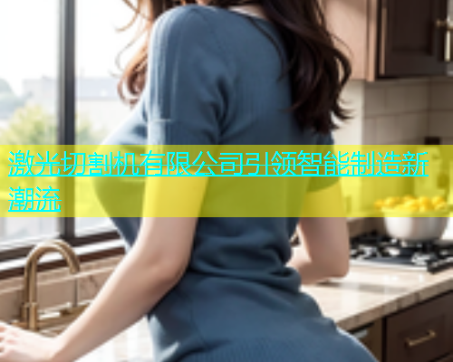 激光切割机有限公司引领智能制造新潮流 激光切割机有限公司引领智能制造新潮流(图2)