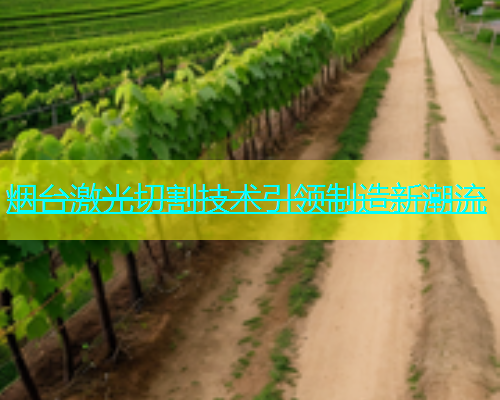 烟台激光切割技术引领制造新潮流(图1)