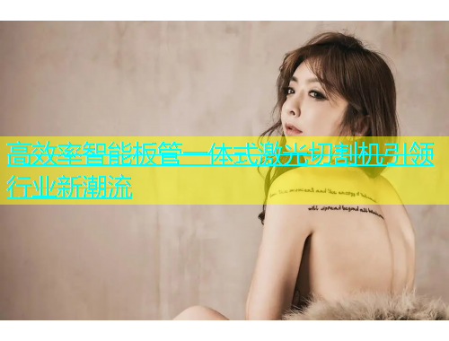 高效率智能板管一体式激光切割机引领行业新潮流(图1)