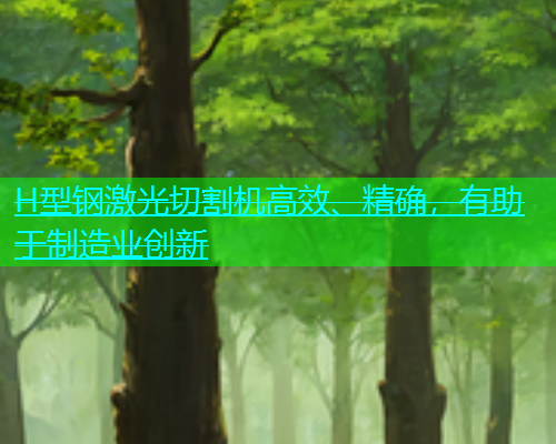 H型钢激光切割机高效、精确，有助于制造业创新(图2)