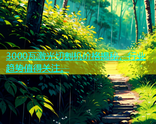 3000瓦激光切割机价格揭秘，行业趋势值得关注。(图1)