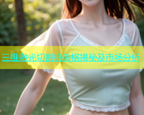 三维激光切割机价格揭秘及市场分析(图1)