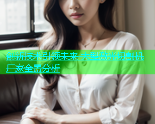 创新技术引领未来 大型激光切割机厂家全景分析(图2)