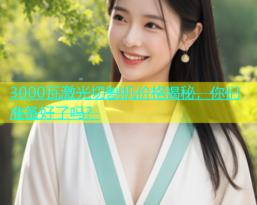 3000瓦激光切割机价格揭秘，你们准备好了吗？(图2)