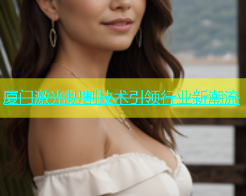 厦门激光切割技术引领行业新潮流(图1)