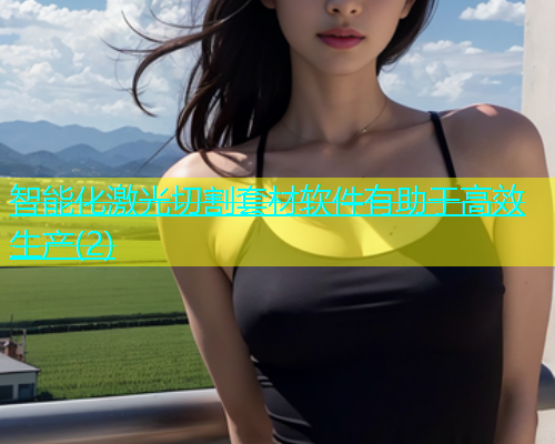 智能化激光切割套材软件有助于高效生产(2)(图1)