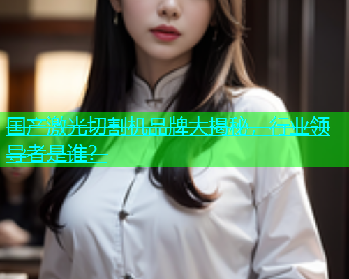 国产激光切割机品牌大揭秘，行业领导者是谁？(图1)