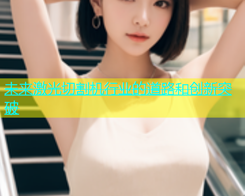未来激光切割机行业的道路和创新突破(图2)