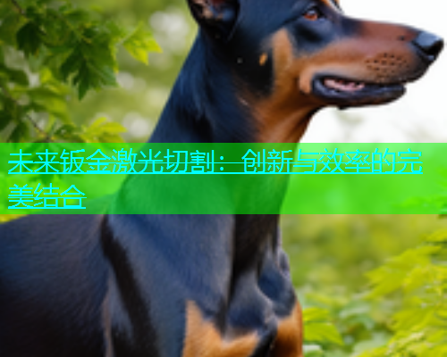 未来钣金激光切割：创新与效率的完美结合(图2)