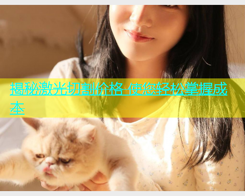 揭秘激光切割价格 使您轻松掌握成本(图2)