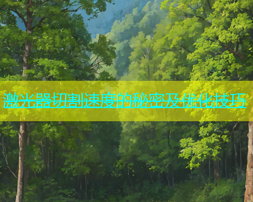 激光器切割速度的秘密及优化技巧(图2)