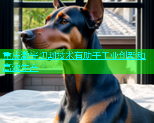重庆激光切割技术有助于工业创新和高效生产(图2)
