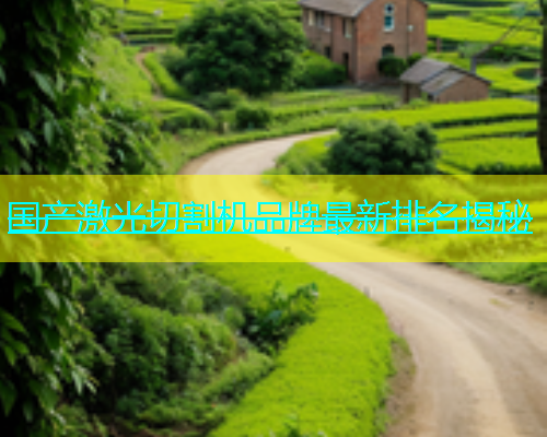 国产激光切割机品牌最新排名揭秘(图1)