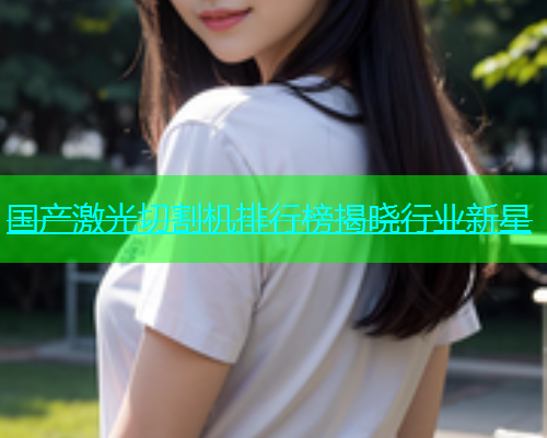 国产激光切割机排行榜揭晓行业新星(图1)