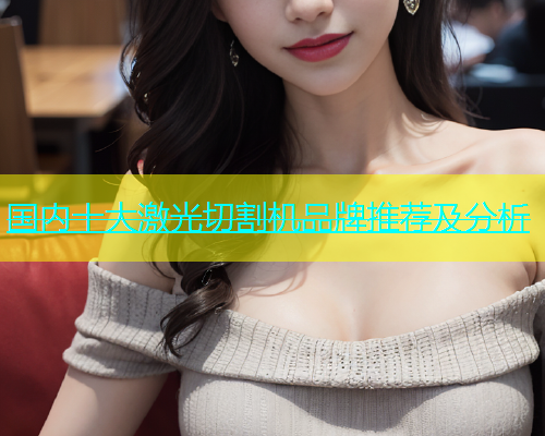 国内十大激光切割机品牌推荐及分析(图2)
