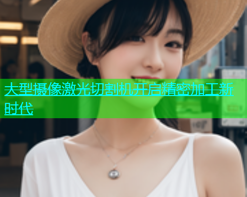 大型摄像激光切割机开启精密加工新时代(图1)
