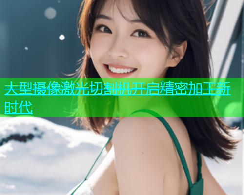 大型摄像激光切割机开启精密加工新时代(图2)
