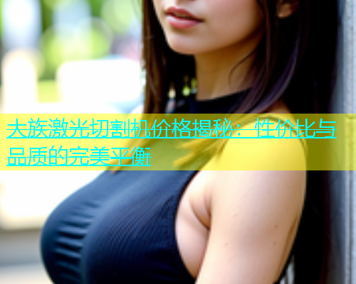 大族激光切割机价格揭秘：性价比与品质的完美平衡(图2)