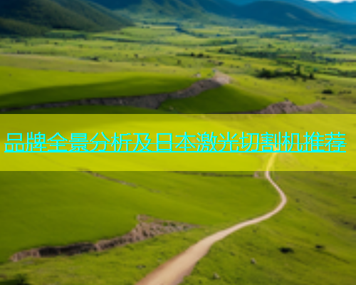 品牌全景分析及日本激光切割机推荐(图1)