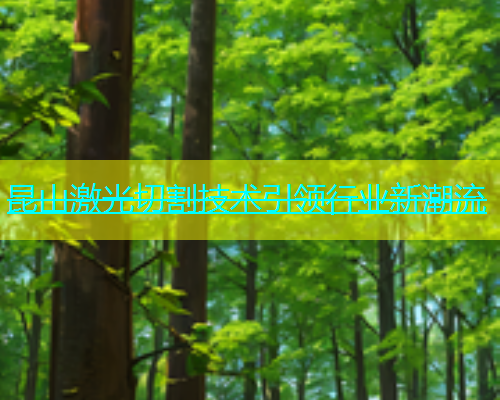 昆山激光切割技术引领行业新潮流(图1)