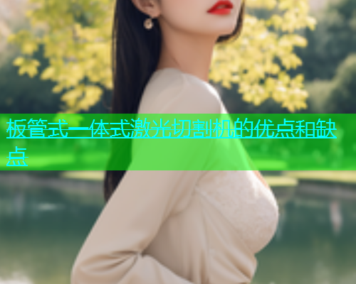 板管式一体式激光切割机的优点和缺点(图2)