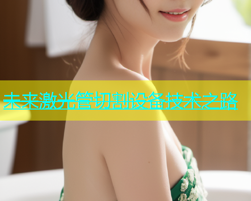 未来激光管切割设备技术之路(图1)