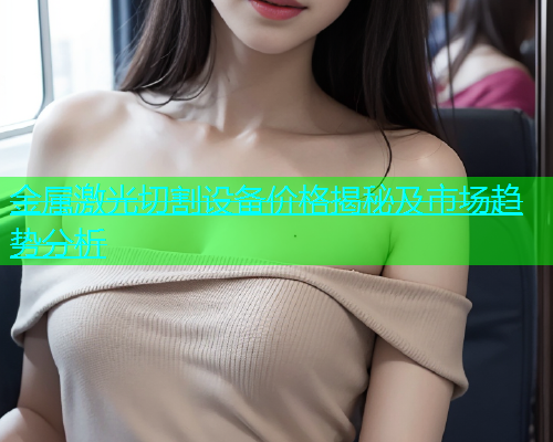 金属激光切割设备价格揭秘及市场趋势分析(图1)