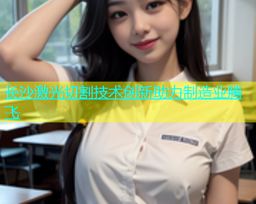 长沙激光切割技术创新助力制造业腾飞(图2)