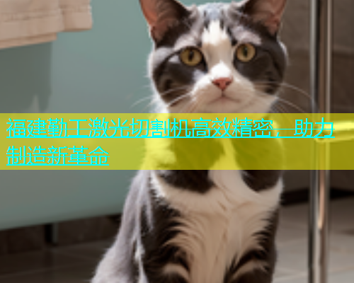 福建勤工激光切割机高效精密，助力制造新革命(图1)